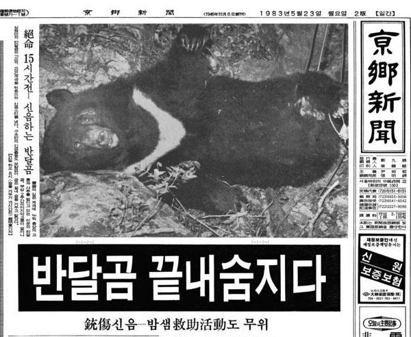 경향신문1983년5월23일.JPG