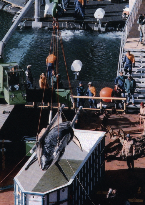 55_keiko sea pen.jpg