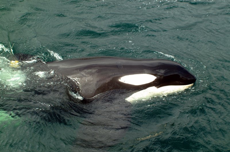 Keiko on 30 Aug.jpg