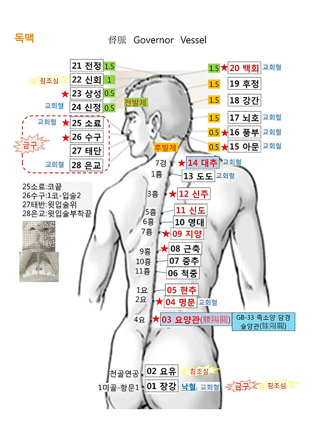 독맥 copy.jpg