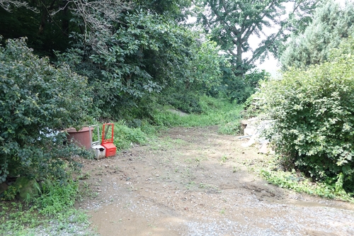 호미2.jpg
