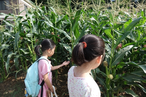 학교가는 길2.jpg