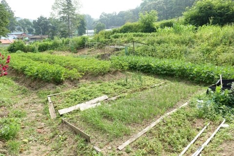 남편의 솜씨4.jpg