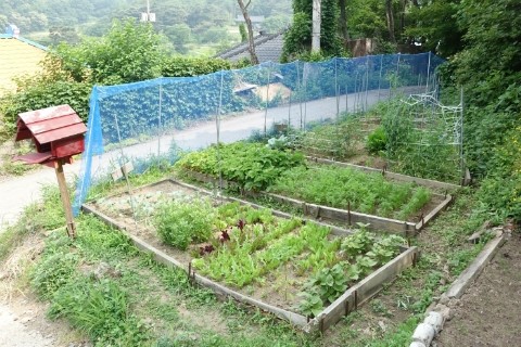 남편의 솜씨7.jpg