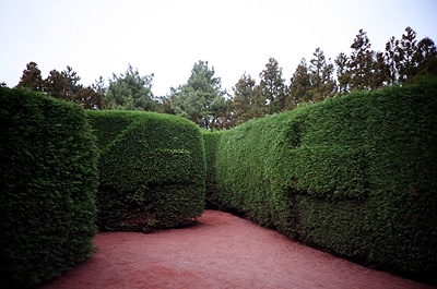 95910004_0(2302).jpg