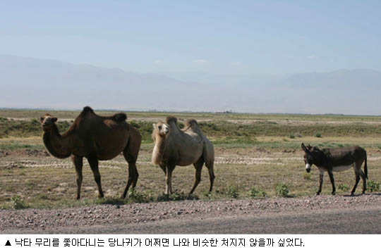 Untitled-5 copy 2.jpg