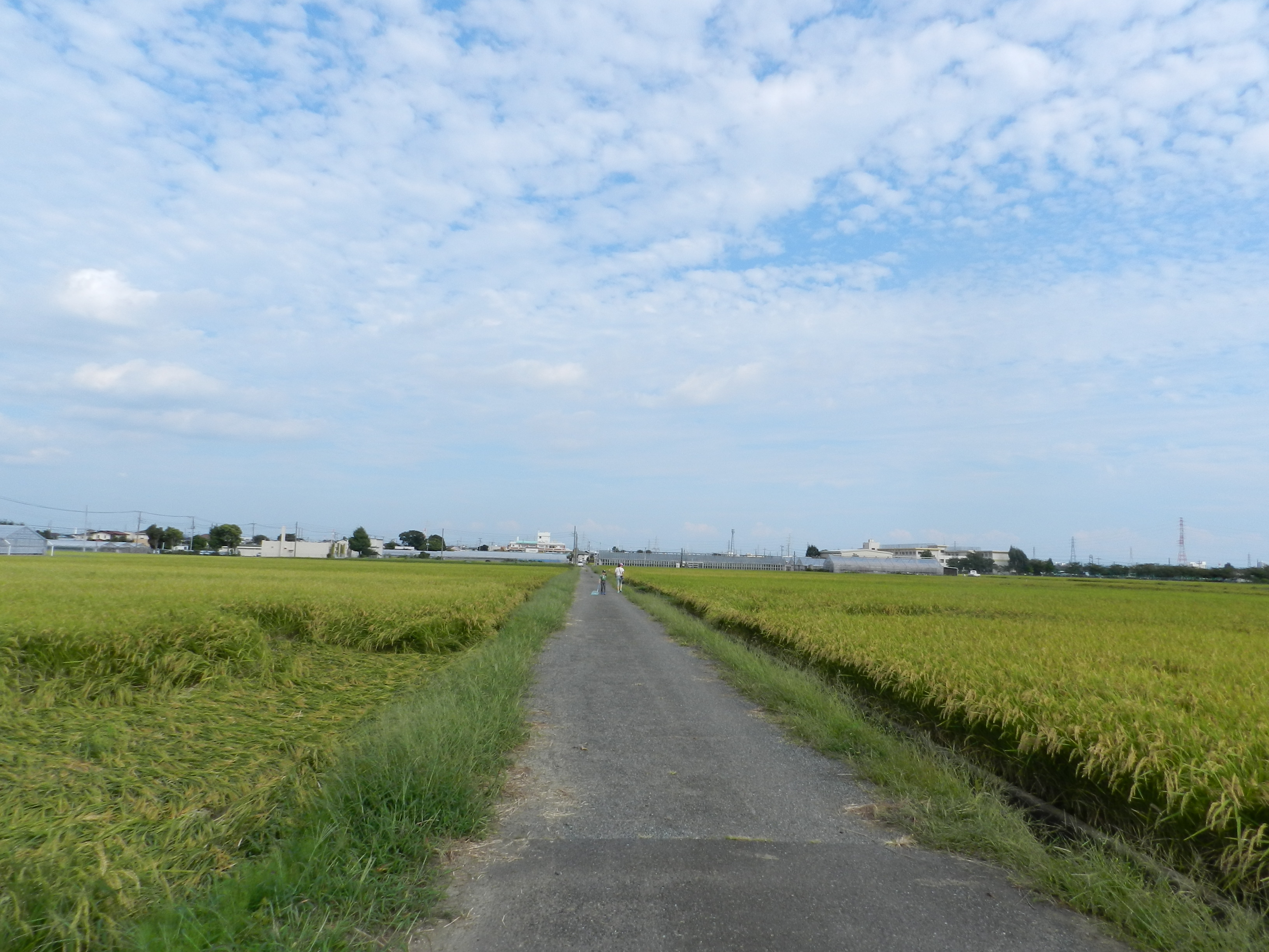 DSCN5544.JPG