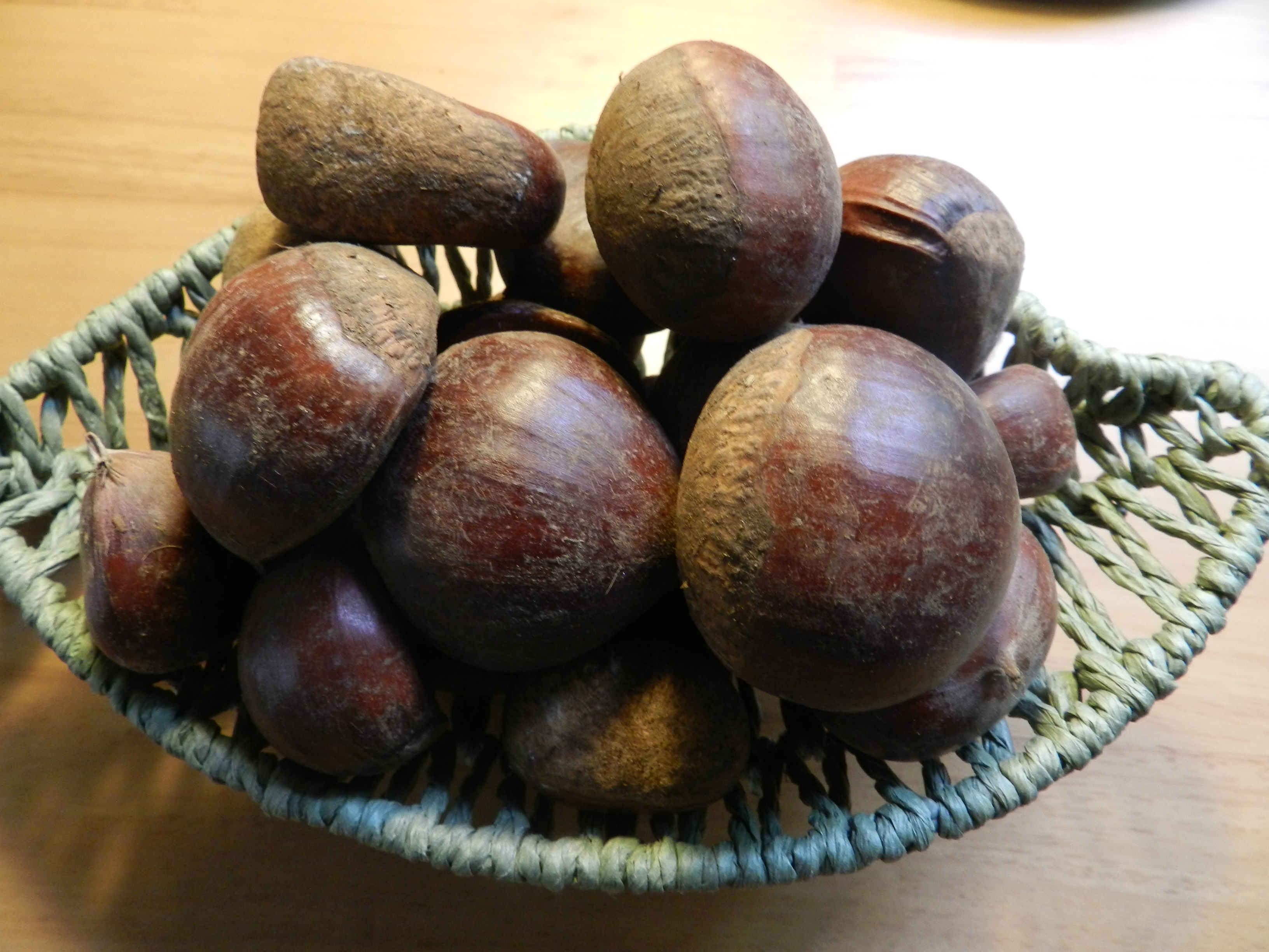 DSCN5565.JPG
