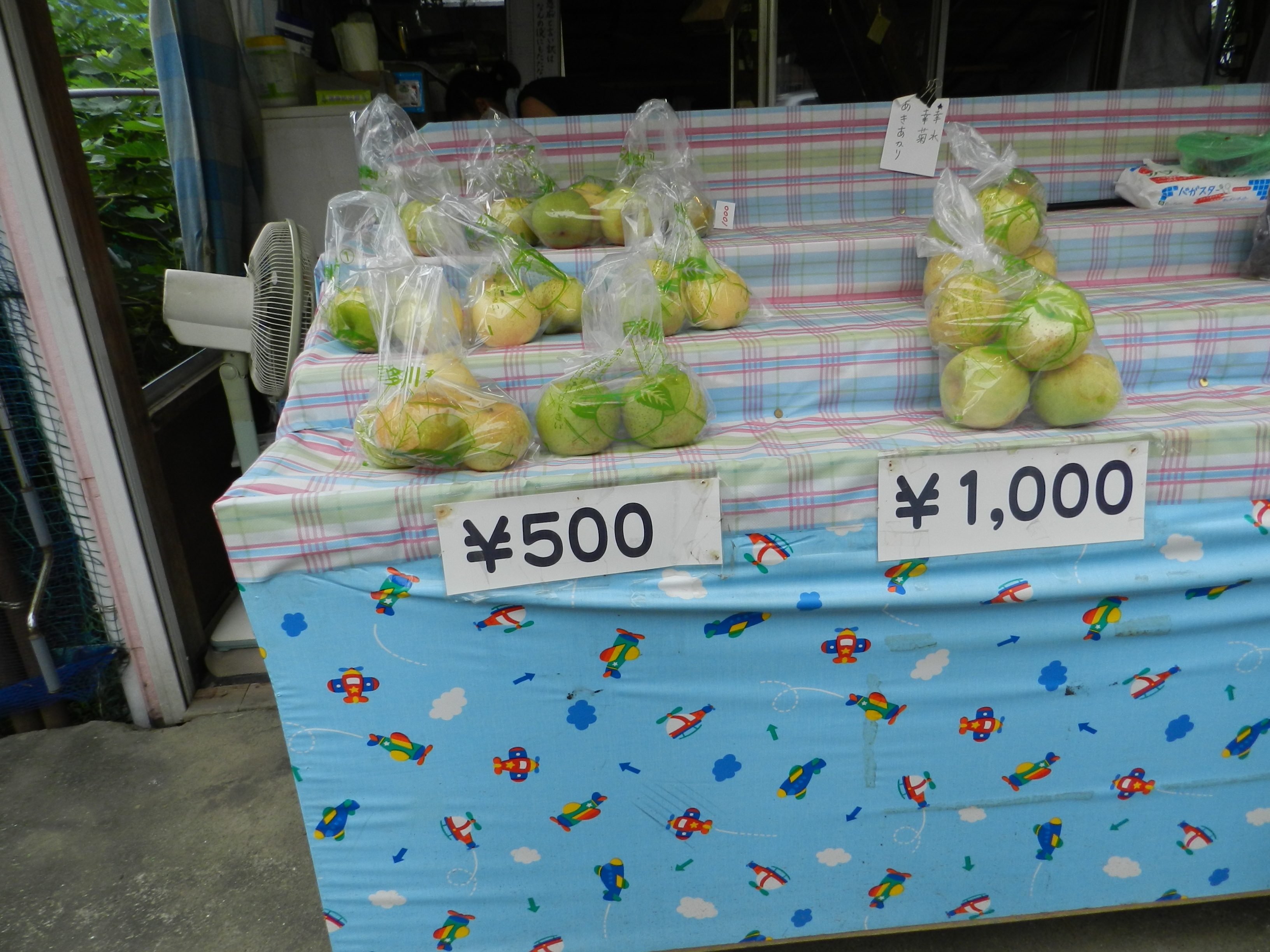 DSCN5435.JPG