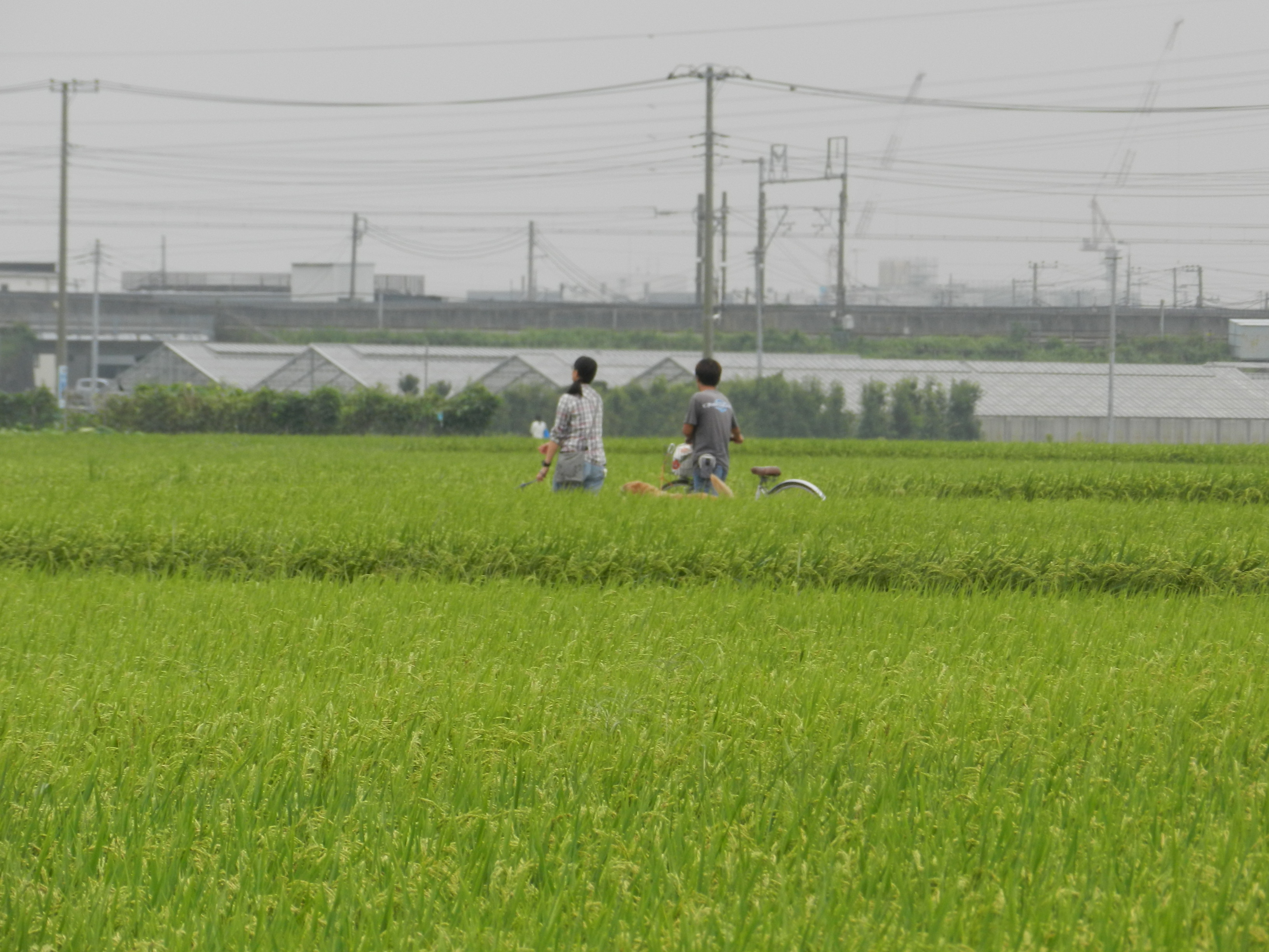 DSCN5479.JPG
