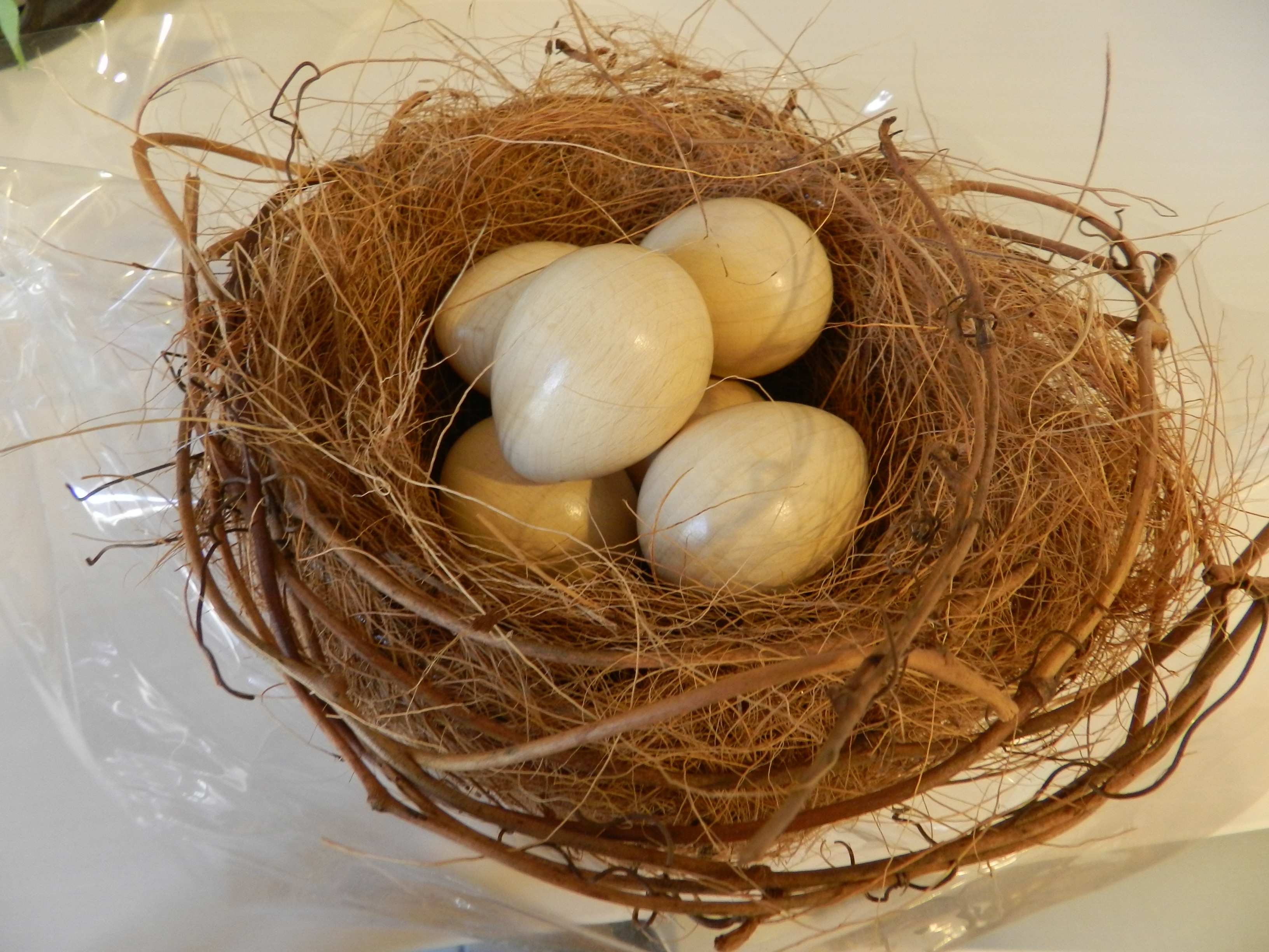 DSCN5524.JPG