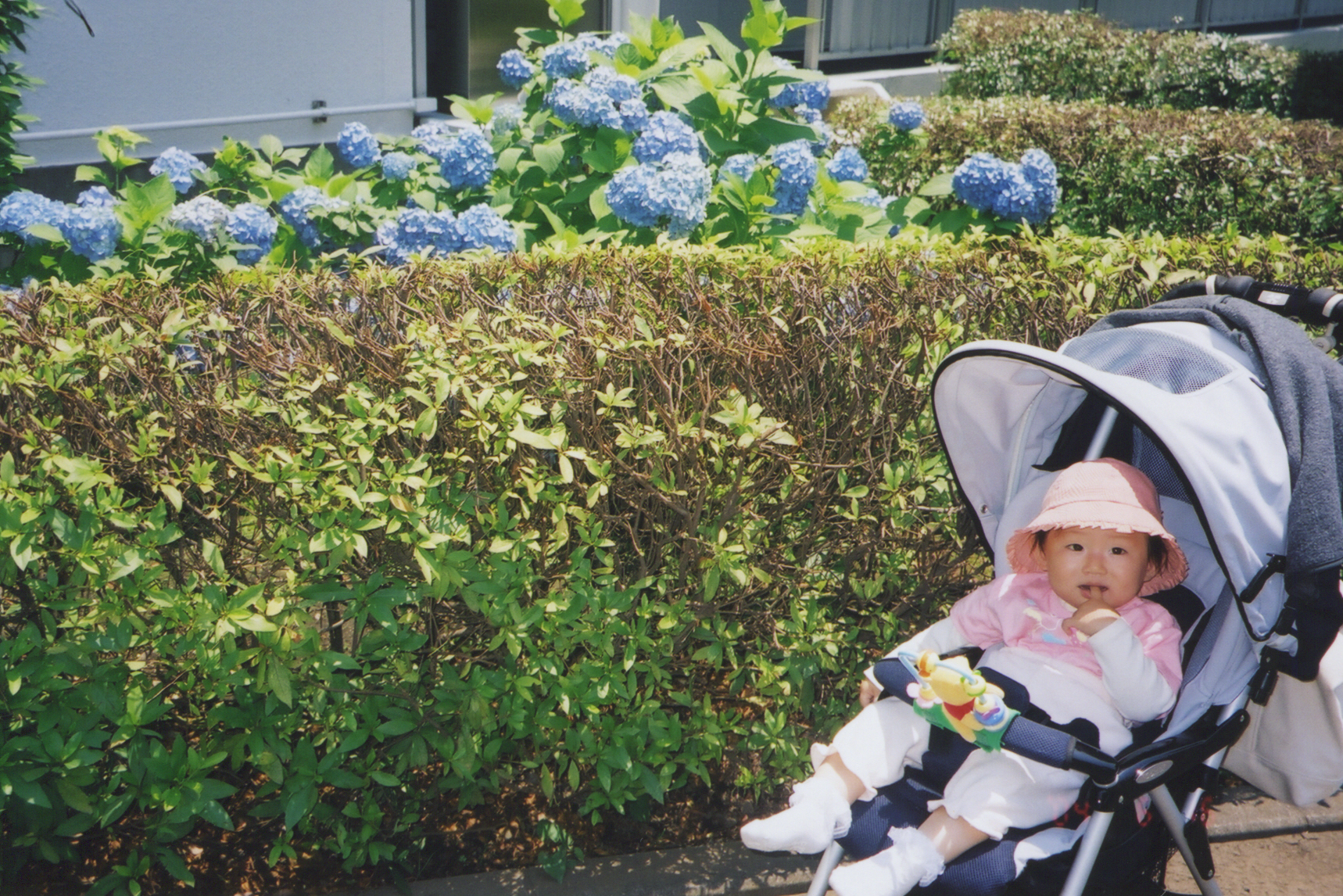 14051800017.jpg 14051800017.jpg