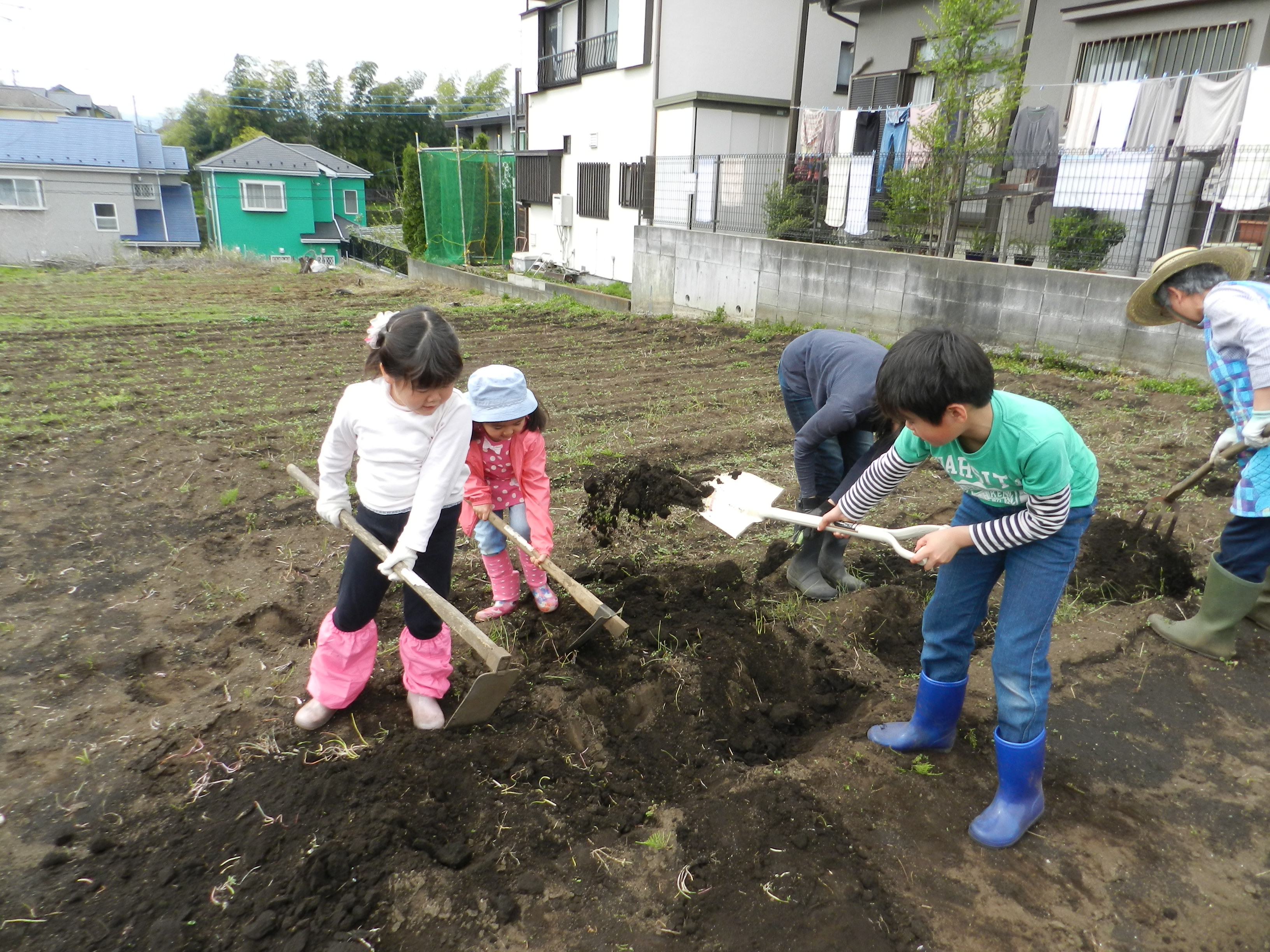 DSCN4709.JPG DSCN4709.JPG