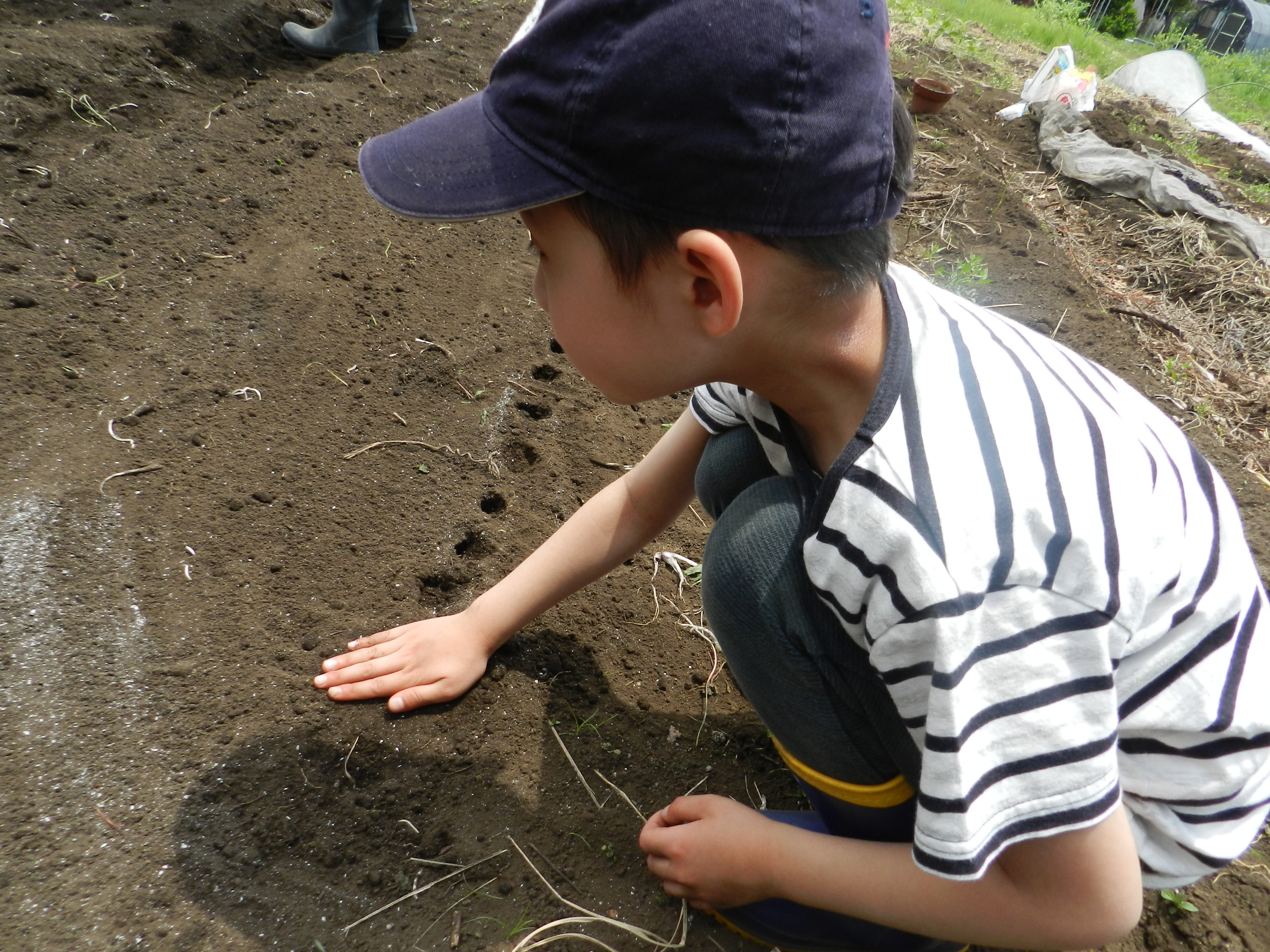 DSCN4928.JPG DSCN4928.JPG