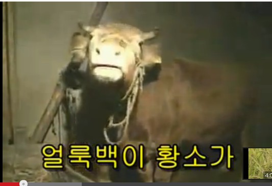 향수.jpg