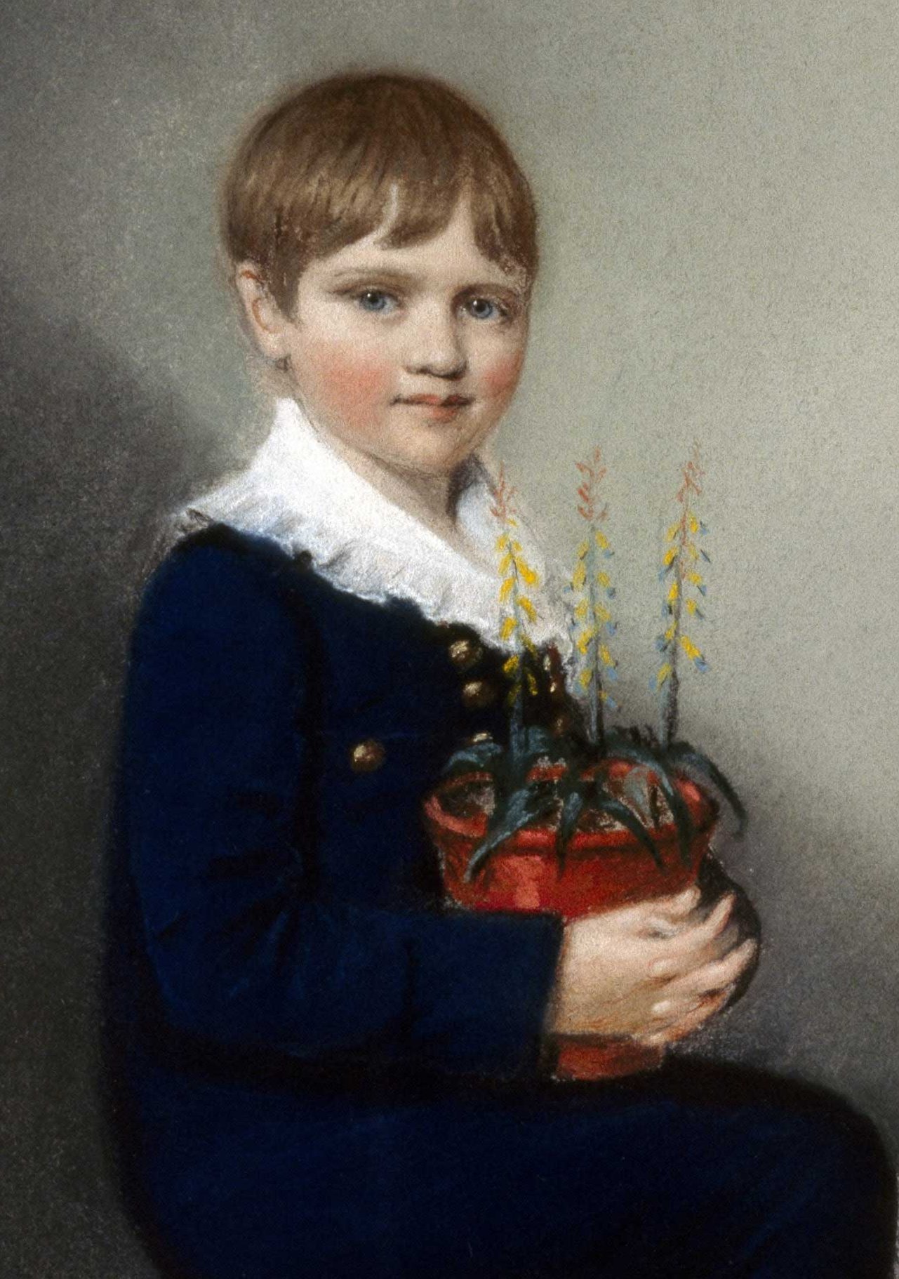 어린 다윈 Charles_Darwin_1816.jpg